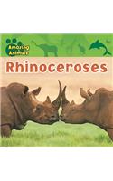 Rhinoceroses