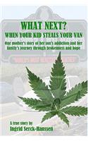 What Next? When Your Kid Steals Your Van