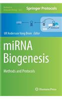 Mirna Biogenesis