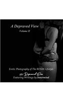 Depraved View Volume II