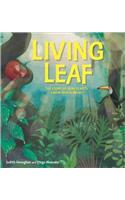 Plant Life: Living Leaf