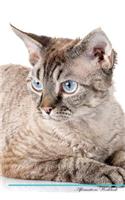 Devon Rex Affirmations Workbook Devon Rex Presents: Positive and Loving Affirmations Workbook. Includes: Mentoring Questions, Guidance, Supporting You.