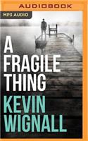 Fragile Thing: A Thriller