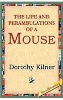 The Life and Perambulations of a Mouse