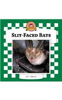 Slit-Faced Bats