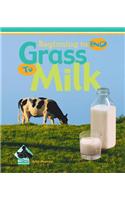Grass to Milk