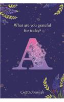 Gratitude Journal for Writers