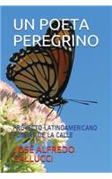 Un Poeta Peregrino