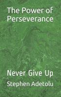 The Power of Perseverance: Never Give Up