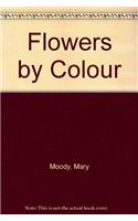 Flowers by Colour