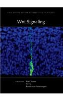 Wnt Signaling