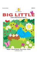 Big Little