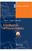 Esterification of Polysaccharides