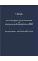 Thrombocyten und Thrombose im elektronenmikroskopischen Bild / Electron Microscopy of Blood Platelets and Thrombosis