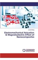 Multi-functional Nanocomposites for the Energy Conversion