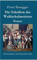 Die Schriften des Waldschulmeisters: Roman(German)