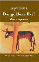 goldene Esel