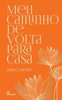 Meu caminho de volta para casa
