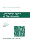 Opportunities for Biological Nitrogen Fixation in Rice and Other Non-Legumes