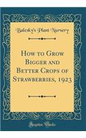 How to Grow Bigger and Better Crops of Strawberries, 1923 (Classic Reprint)