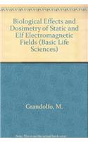 Biological Effects and Dosimetry of Static and ELF Electromagnetic Fields