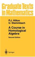 Course in Homological Algebra