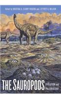 The Sauropods
