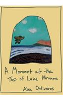 Moment at the Top of Lake Nirvana