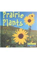 Prairie Plants