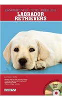 Labrador Retrievers