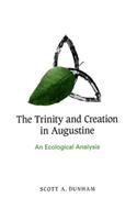 The Trinity and Creation in Augustine: An Ecological Analysis