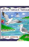 Gulls . . . Gulls . . . Gulls . . .