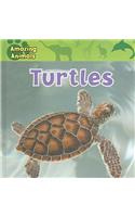 Turtles