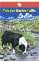 Turk the Border Collie
