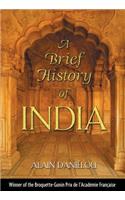 Brief History of India