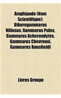 Amphipode (Nom Scientifique): Dikerogammarus Villosus, Gammarus Pulex, Gammarus Acherondytes, Gammarus Chevreuxi, Gammarus Bousfieldi(French)