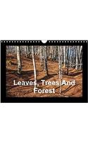 Leaves, Trees and Forest 2017
