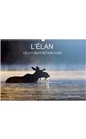 L'Elan - Geant Des Forets Du Nord 2017: Les Quatre Saisons De L'elan(Calvendo Animaux)