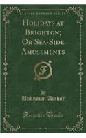 Holidays at Brighton; Or Sea-Side Amusements (Classic Reprint)