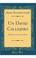 Un David Callejero: Zarzuela En Un Acto Y En Prosa (Classic Reprint)