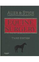 Equine Surgery