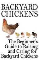 Backyard Chickens