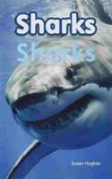 Myview Literacy 2020 Leveled Reader Grade 1: Sharks