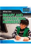 What Are Binary and Hexadecimal Numbers?