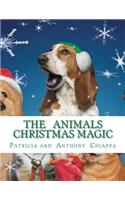 Animals Christmas Magic