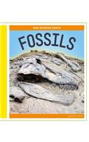 Fossils: (Our Extreme Earth)