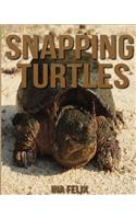 Snapping Turtles: Children Book of Fun Facts & Amazing Photos on Animals in Nature - A Wonderful Snapping Turtles Book for Kids aged 3-7