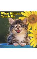 WHAT KITTENS TEACH US 2020 WALL CALENDAR