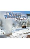 Winter Wonderland in Yellowstone