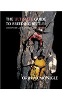 The Ultimate Guide to Breeding Beetles